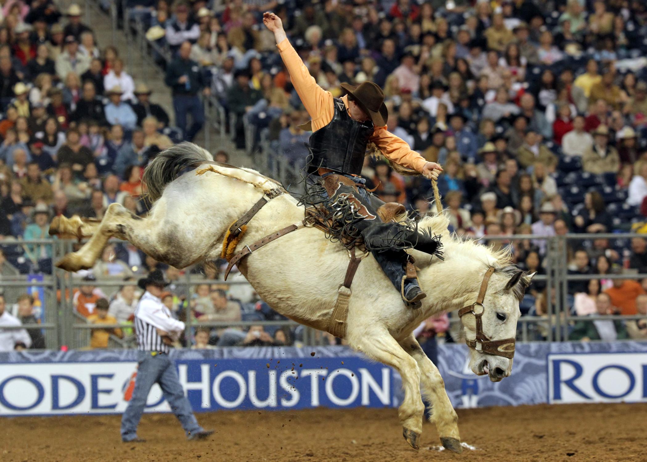 Houston Rodeo Pictures 82